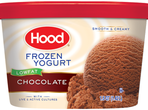 Hood Chocolate LF Frozen Yogurt Bulk