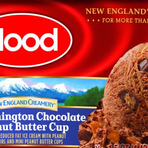 Hood Chocolate Peanut Butter Ripple Bulk